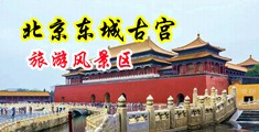 国产美女黑丝操bAV中国北京-东城古宫旅游风景区